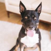 Thumbnail photo of DARLA #2