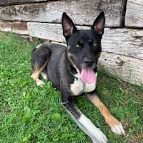 Thumbnail photo of DARLA #3