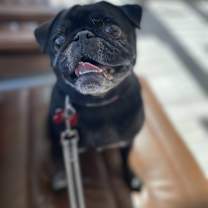 Thumbnail photo of Imogene #2