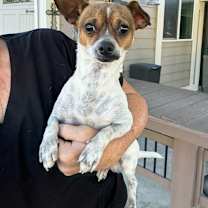 Thumbnail photo of Nugget #3