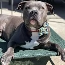 Thumbnail photo of Chloe!! #1