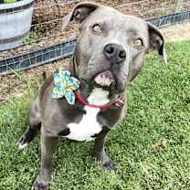 Thumbnail photo of Chloe!! #2