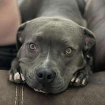 Thumbnail photo of Chloe!! #3