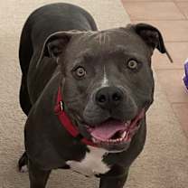 Thumbnail photo of Chloe!! #4