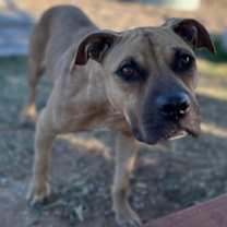 Thumbnail photo of Camille #2