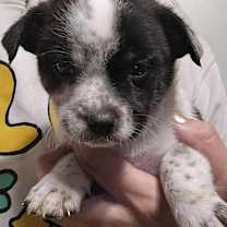 Thumbnail photo of Sabrina #3