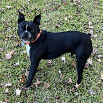 Thumbnail photo of Calvin Rufus-4187Jacksonville,NC #2