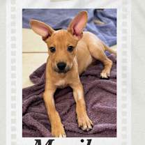 Thumbnail photo of Marilyn #2