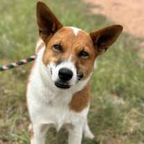 Thumbnail photo of Dawn / Lolo #2