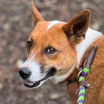 Thumbnail photo of Dawn / Lolo #3