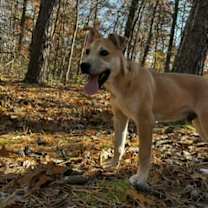 Thumbnail photo of Derek #3