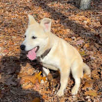 Thumbnail photo of Lilly #2