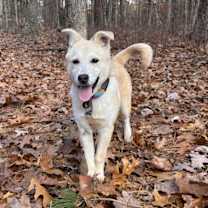 Thumbnail photo of Lilly #4