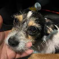 Thumbnail photo of Mocha #3