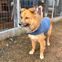 Thumbnail photo of Shini #1