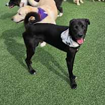 Thumbnail photo of SAN #1