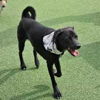 Thumbnail photo of SAN #2