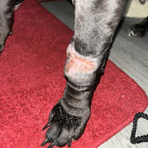 Thumbnail photo of SinThea #4