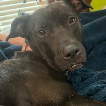 Thumbnail photo of Barbie #2