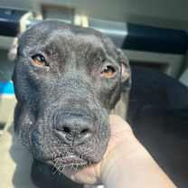 Thumbnail photo of Barbie #3