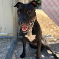 Thumbnail photo of Barbie #4