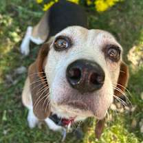 Thumbnail photo of Ryan #1