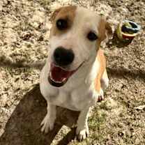 Thumbnail photo of Laniey #3