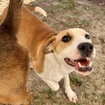 Thumbnail photo of Laniey #4