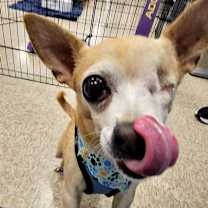 Thumbnail photo of Otto #4