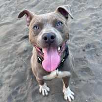 Thumbnail photo of Alonzo #1