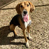 Thumbnail photo of Millie #1