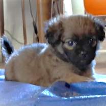 Thumbnail photo of Florence #2