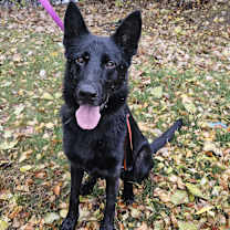 Thumbnail photo of Cash #3