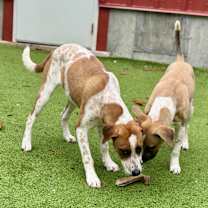 Thumbnail photo of Rita (Mall of NH) #3