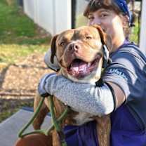 Thumbnail photo of Priscilla #3