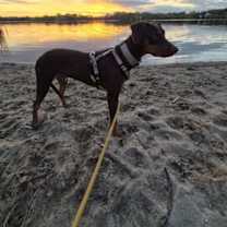 Thumbnail photo of Kinsey #2