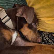 Thumbnail photo of Kinsey #3