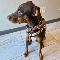 Thumbnail photo of Kinsey #4