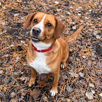 Thumbnail photo of Mercedes  #4