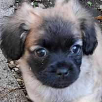 Thumbnail photo of Mary #1