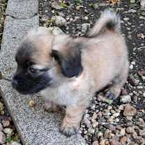 Thumbnail photo of Mary #2