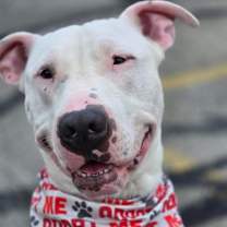 Thumbnail photo of Arthur #1