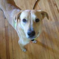 Thumbnail photo of Peach #4