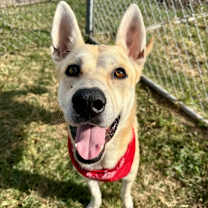 Thumbnail photo of Johnny #2