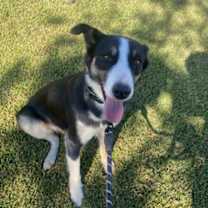 Thumbnail photo of WILLIE #1