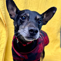 Thumbnail photo of Oscar #1