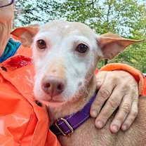 Thumbnail photo of Chispa  #3