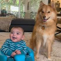 Thumbnail photo of Jenghis #1