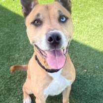 Thumbnail photo of Ricky #1