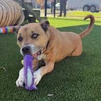 Thumbnail photo of Ricky #2